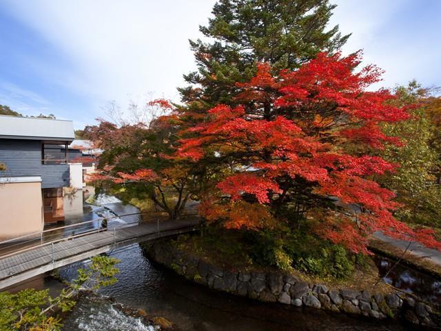 Villa Hoshinoya Karuizawa Amenities foto